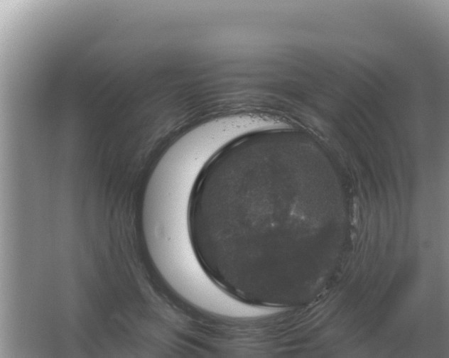 X0000067500551200604150110