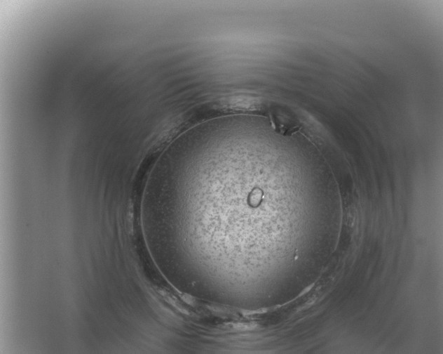 X0000067500552200604150110