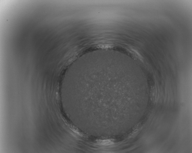 X0000067500553200604150110