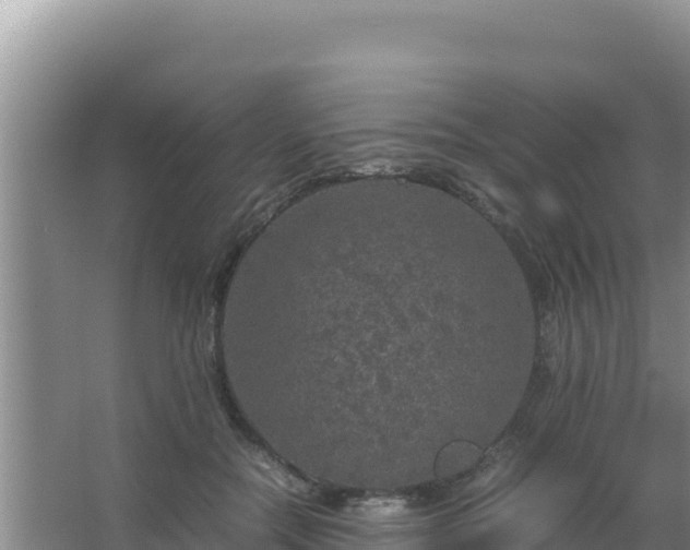 X0000067500554200604150110