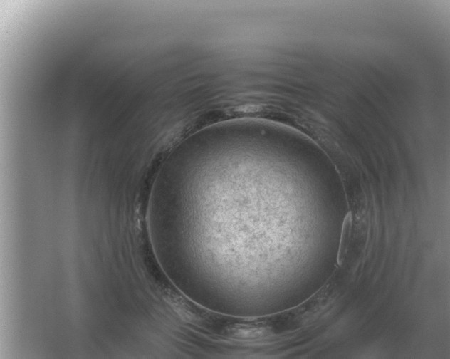 X0000067500555200604150110