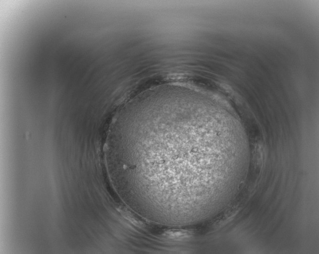 X0000067500557200604150110