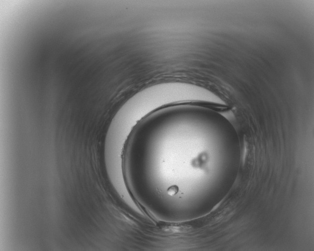 X0000067500558200604150110