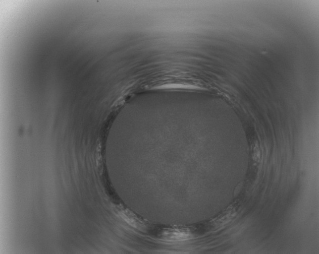 X0000067500559200604150110