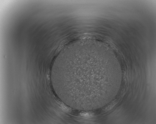 X0000067500561200604150110