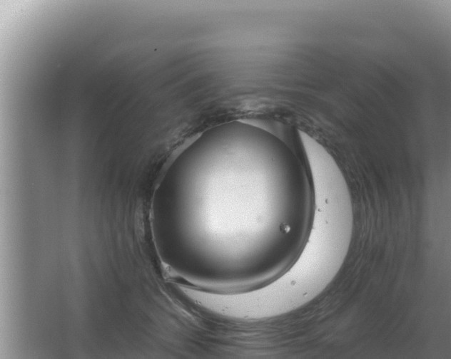 X0000067500562200604150110