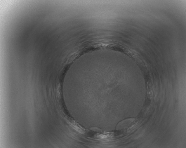 X0000067500563200604150110