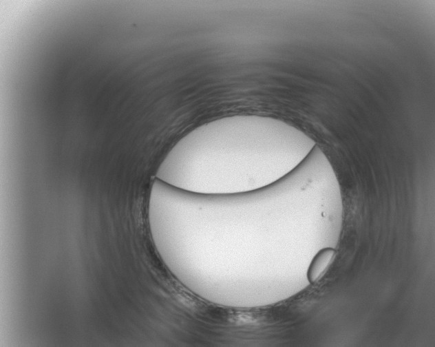 X0000067500565200604150110