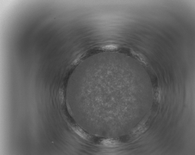 X0000067500568200604150110