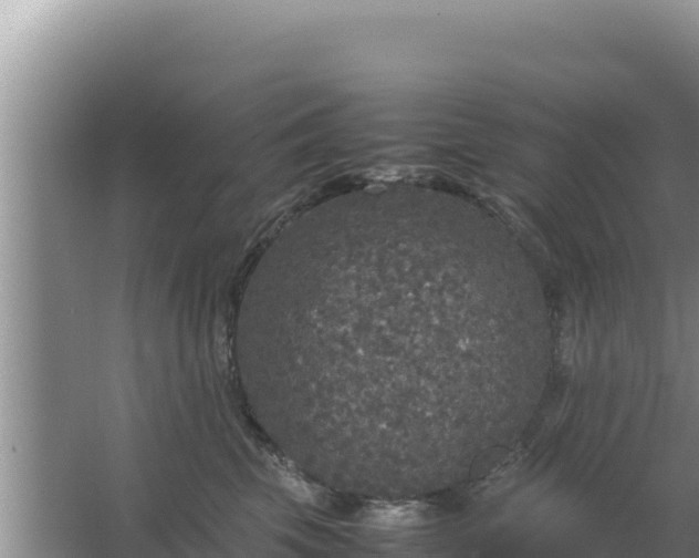 X0000067500569200604150111