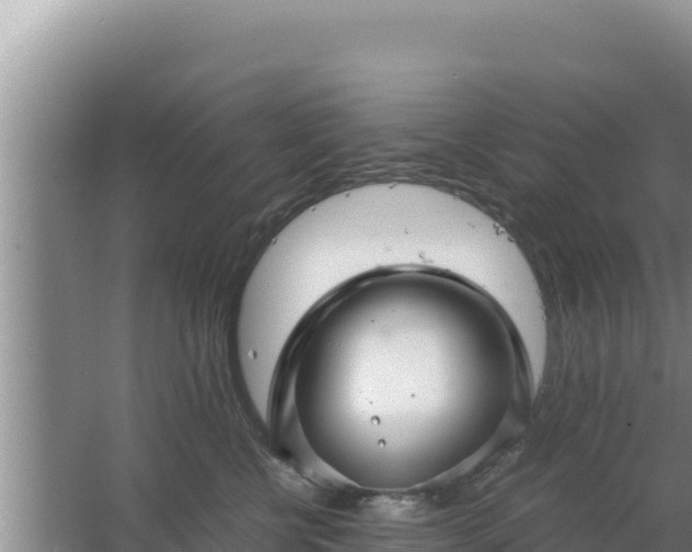 X0000067500570200604150111