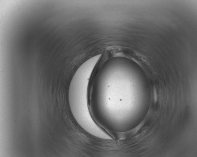 X0000067500571200604150111