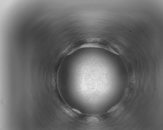 X0000067500572200604150111