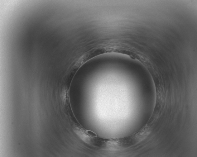 X0000067500574200604150111