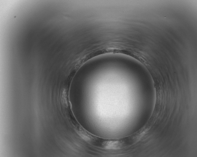 X0000067500575200604150111