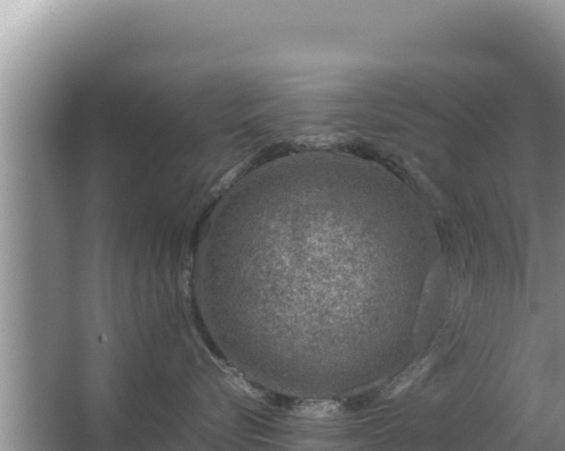 X0000067500576200604150111