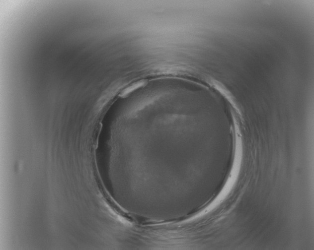 X0000067500577200604150110