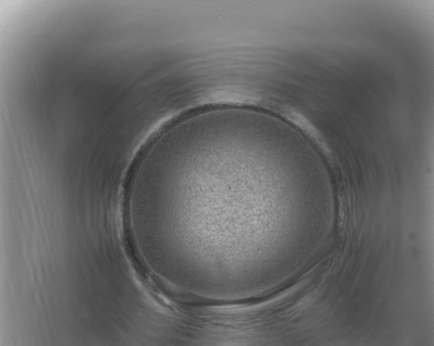 X0000067500580200604150110