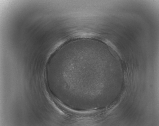 X0000067500581200604150110