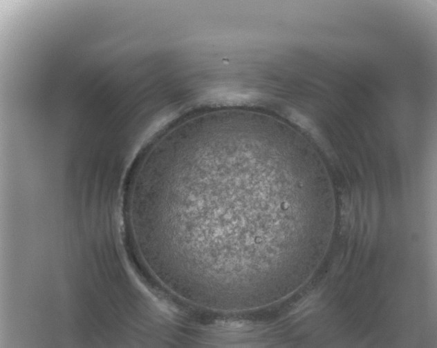 X0000067500582200604150110