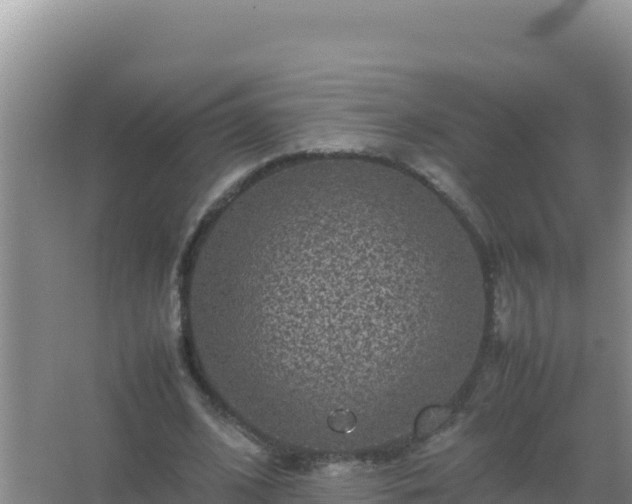 X0000067500584200604150110