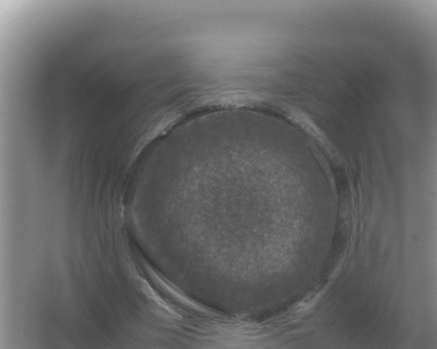 X0000067500585200604150110