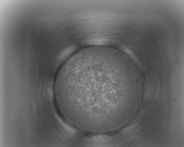 X0000067500586200604150110