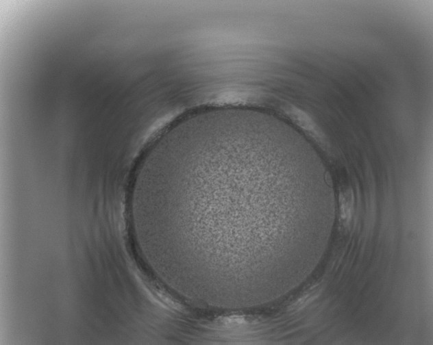 X0000067500588200604150110