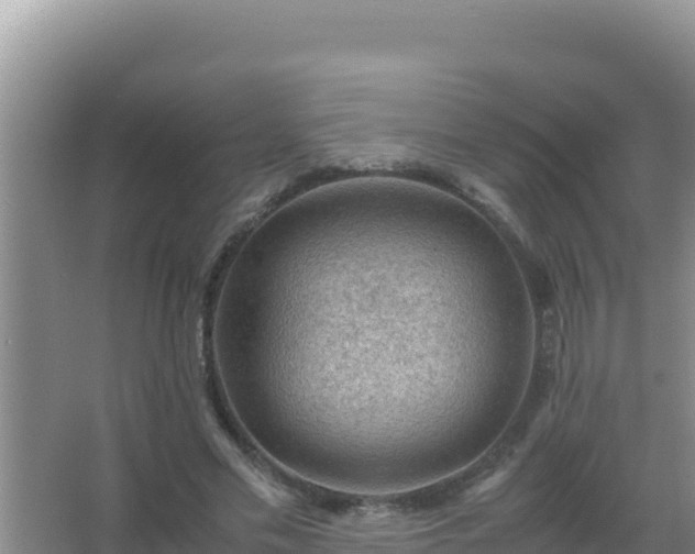 X0000067500589200604150110