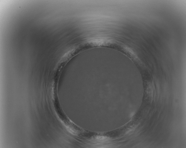 X0000067500590200604150110