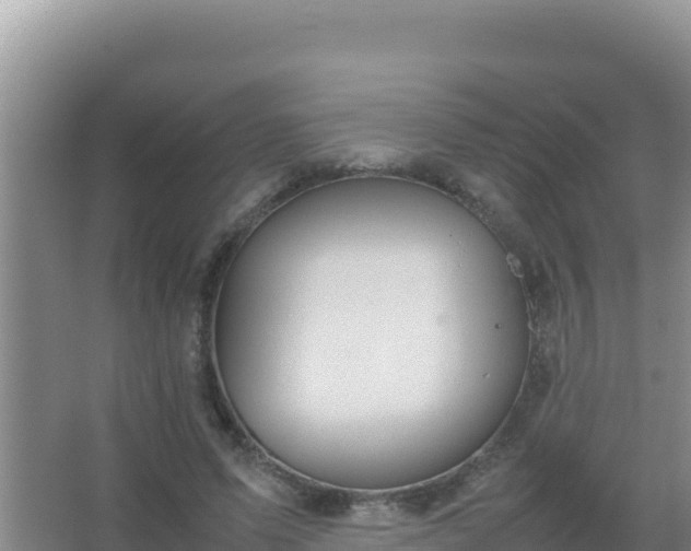 X0000067500591200604150110