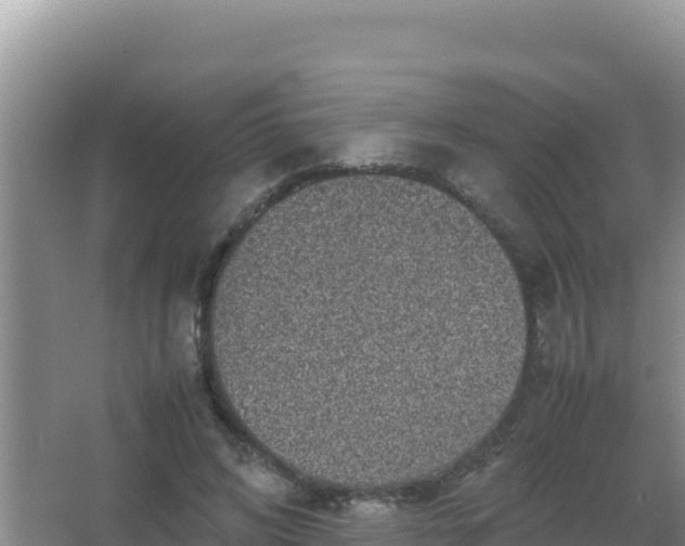 X0000067500592200604150110