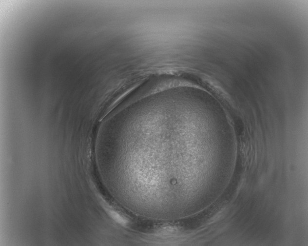 X0000067500593200604150110