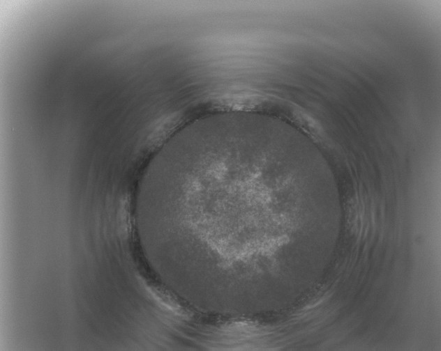 X0000067500594200604150110