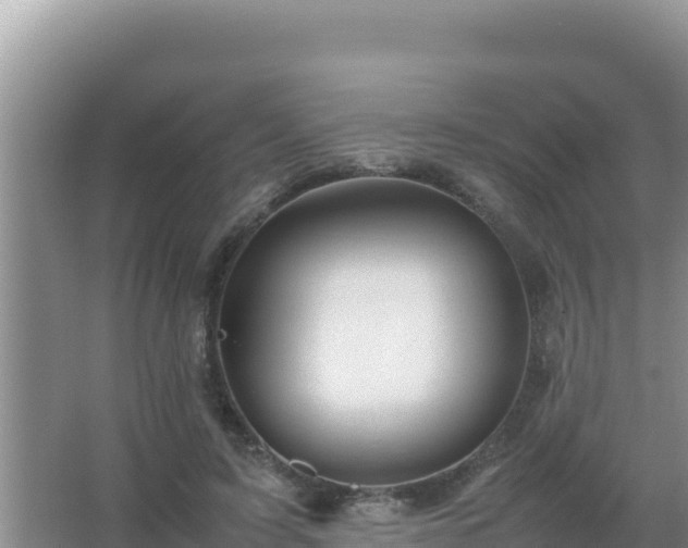 X0000067500595200604150109