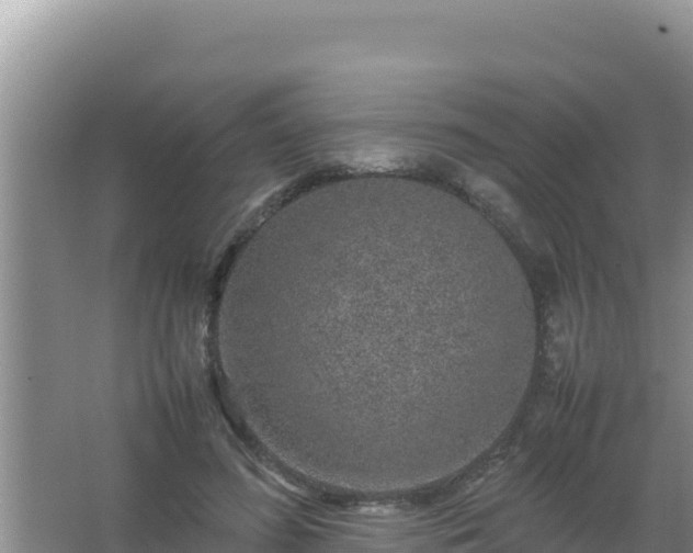 X0000067500596200604150109