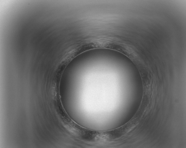 X0000067500599200604150109