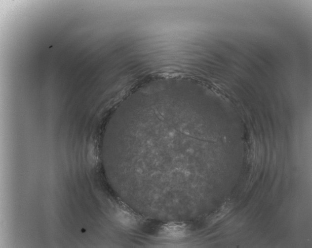 X0000067500606200604150109