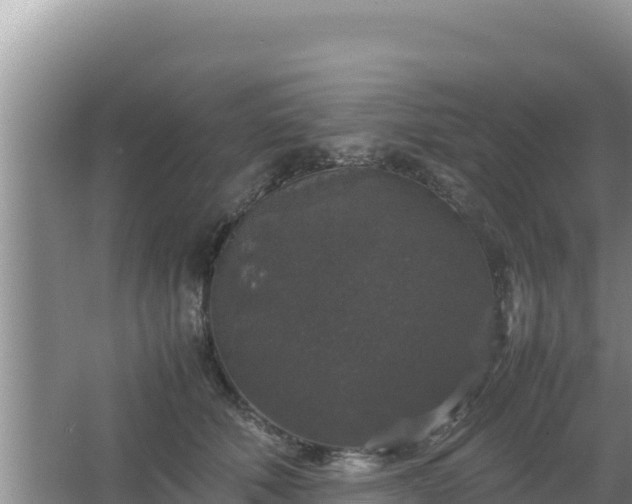 X0000067500610200604150109