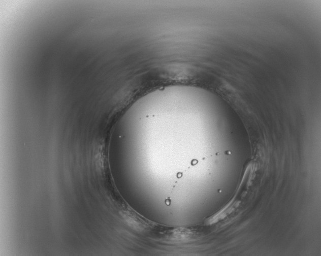 X0000067500612200604150109