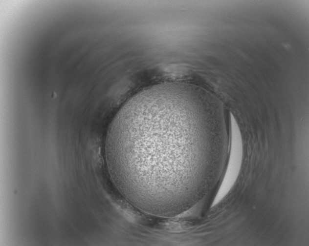 X0000067500615200604150109