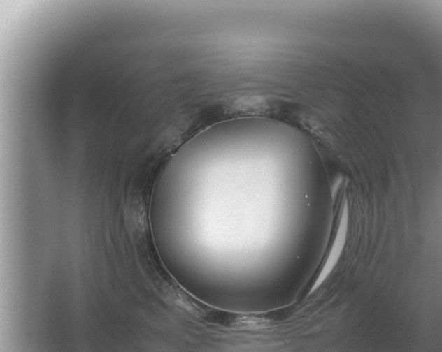 X0000067500617200604150109