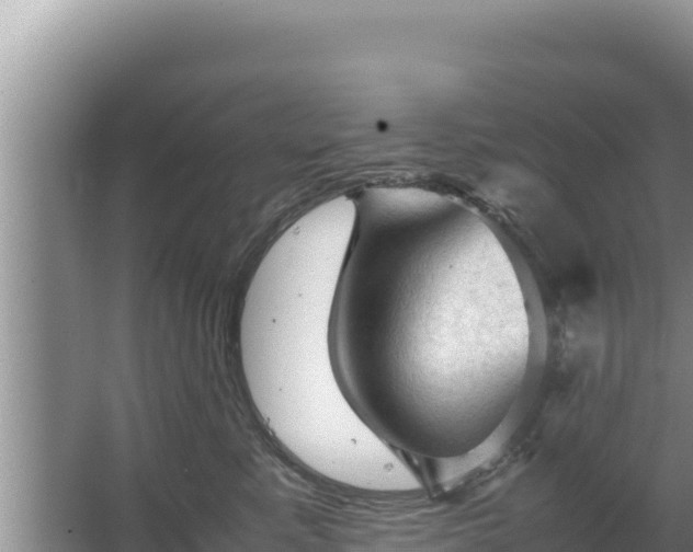 X0000067500619200604150109