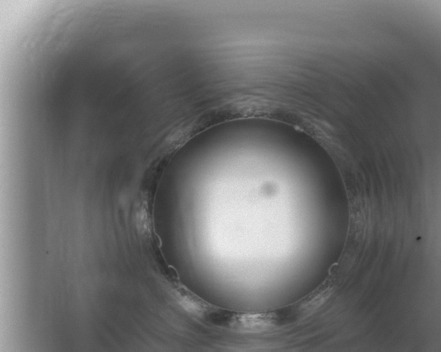 X0000067500622200604150109