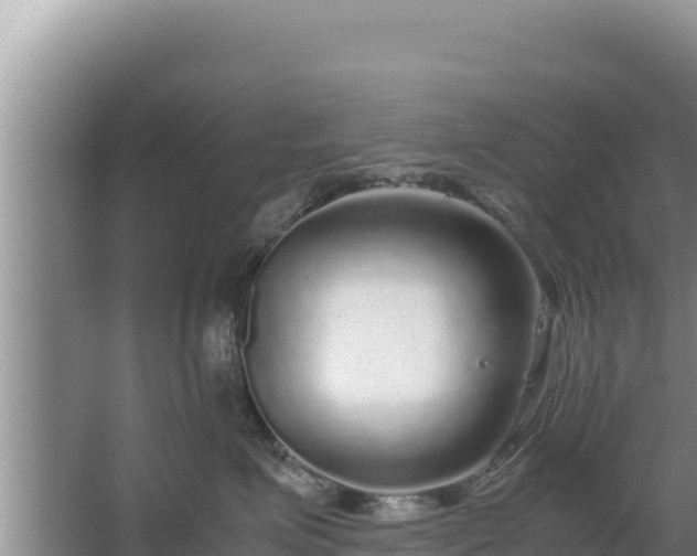 X0000067500623200604150109