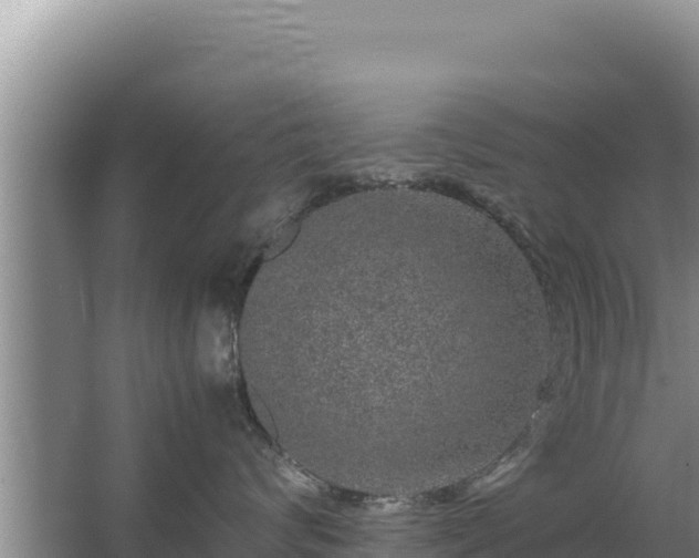 X0000067500624200604150109