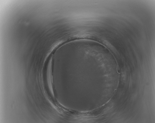 X0000067500626200604150108