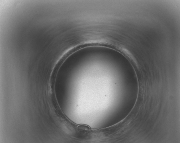 X0000067500628200604150108