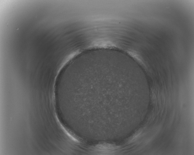 X0000067500630200604150108