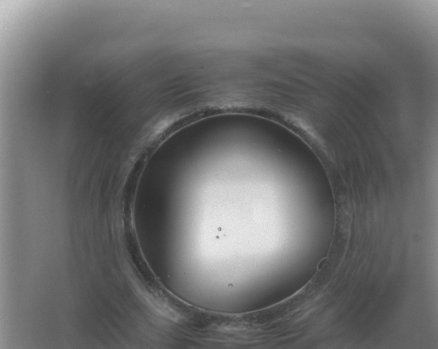 X0000067500631200604150108